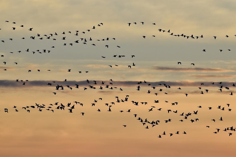 Cloud Chasers by Dustin Glaseman